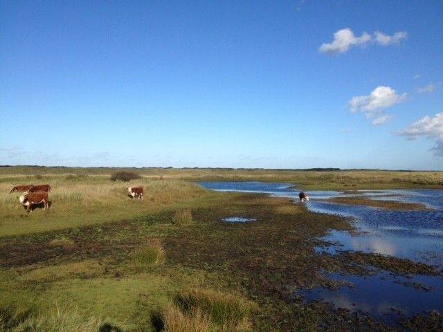 Vakantiewoning Ameland